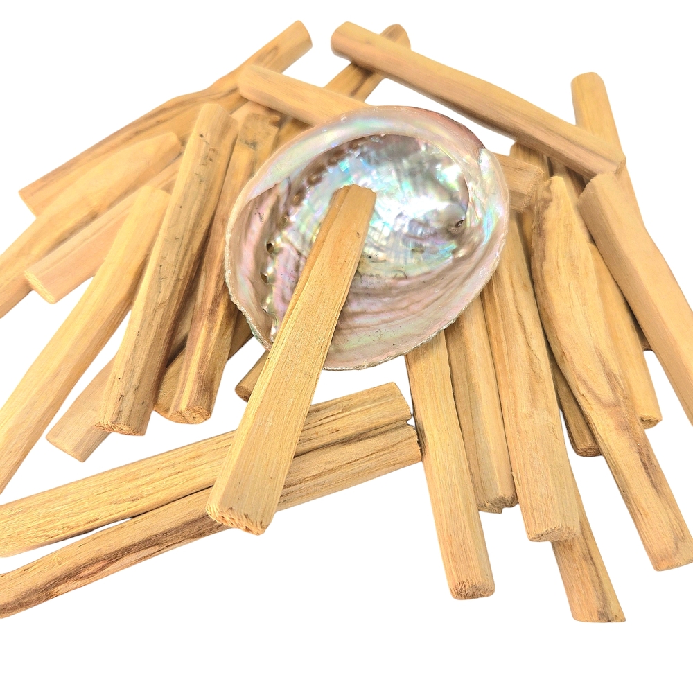 12pc Palo Santo Aromatic Premium Organic Holy Wood Abalon Shell Holder Stand Set - Picture 5 of 12